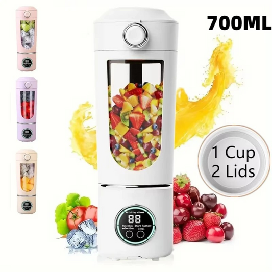 Portable Smoothie Blender, 700ML Stainless Steel