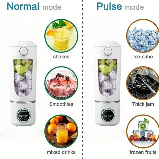 Portable Smoothie Blender, 700ML Stainless Steel